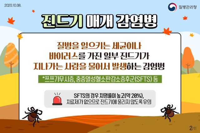 진드기 설치류1.jpg