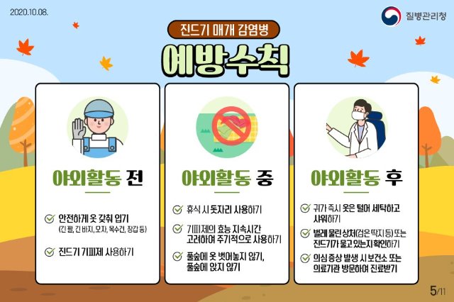 진드기 설치류2.jpg