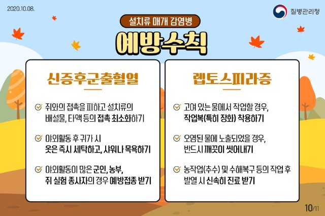 진드기 설치류4.jpg