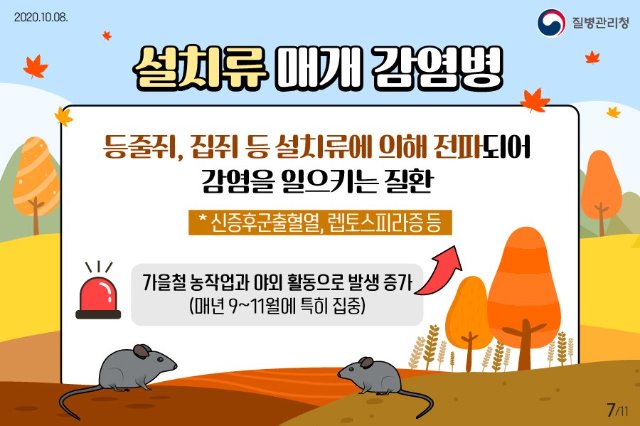 진드기 설치류3.jpg