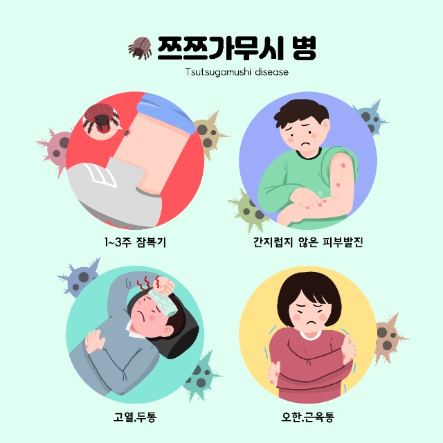 CK_ti481a3703 (1).jpg